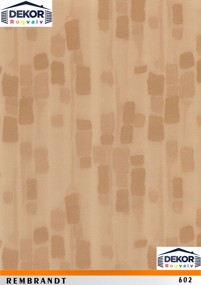 rembrandt_602